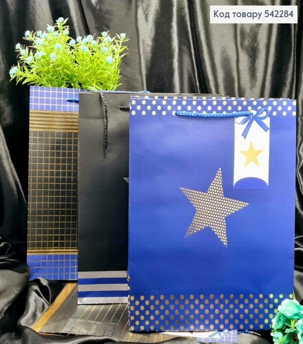 Пакет паперовий з принтом "Зірка" (в Клітинку, Горошок, Лінію), 32*26*10см, в асортименті 542284 фото 1
