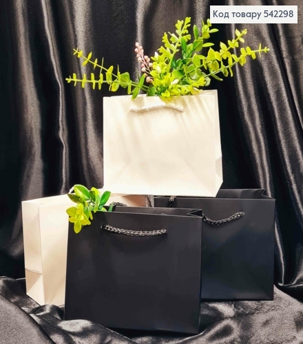 Пакет паперовий Однотонний, 12*16*6см, Чорний/ Білий кольори в асортименті 542298 фото 1