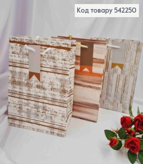 Пакет бумажный в Полосочку, 23*18*10см в ассортименте 542250 фото