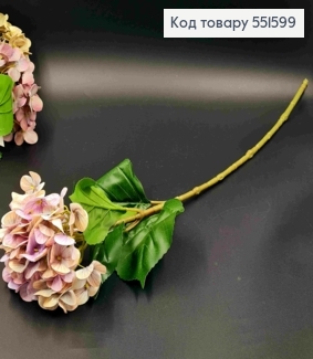 Штучна квітка Гортензії, БУЗКОВО-БЕЖЕВОГО кольору, висота 67см, на металевому стержні 551599 фото