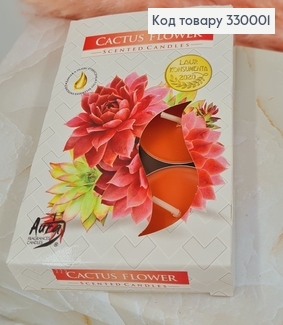 Аромасвічка таблетка BISPOLКвітка кактуса  6 шт/4 годин, 15-312 330001 фото