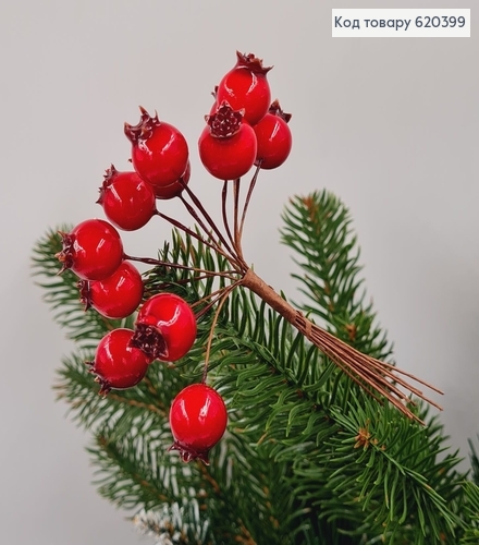 Пучок гілочок Шипшини ЧЕРВОНА, 12шт, 11см 620399 фото 1