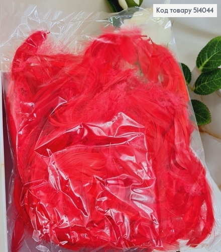 Наповнювач пір'я червоне  10 гр 514044 фото 1