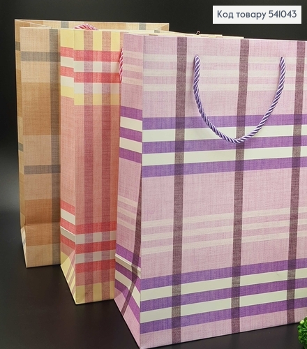 Пакет бумажный средний "Большая клетка" 33х25,5х12,5 см в асс. 541043 фото 1