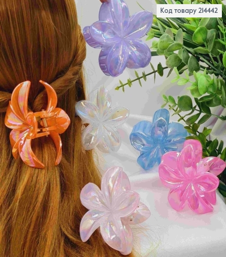 Краб пластик глянцевый "Гавайский Цветок", 8см, ЯРКИЕ-ПЕРЛАМУТРОВЫЕ цвета в ассортименте 214442 фото 1