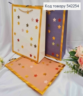 Пакет бумажный, " Звездочки", 23*18*10см в ассортименте 542254 фото