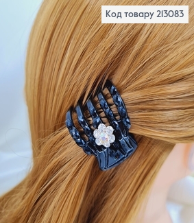 Краб черный рогач с цветочком в камнях 213083 фото