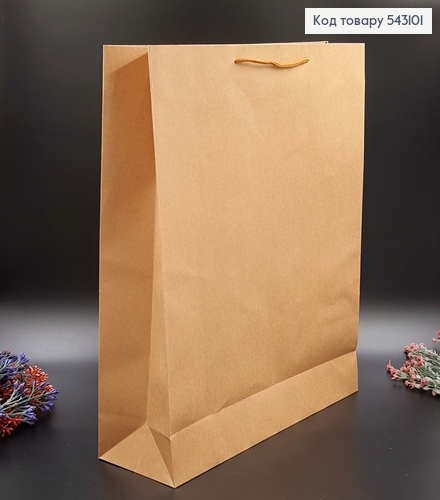 Пакет паперовий великий  Крафт 50х37,5 см 543101 фото 1