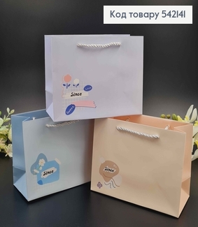 Пакет бумажный "Since" 19,5*14,5*8,5см в ассорт. 542141 фото