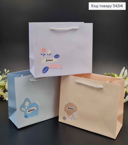 Пакет бумажный "Since" 19,5*14,5*8,5см в ассорт. 542141 фото 1