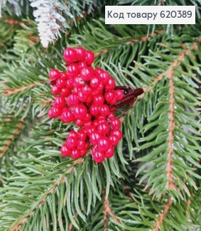 Гілочка журавлини ЧЕРВОНА пластистик, 5см 620389 фото