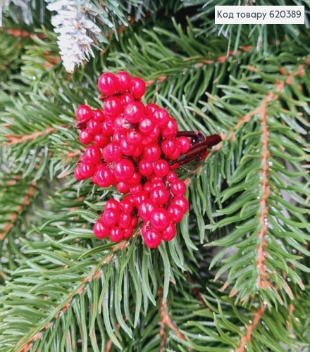 Веточка клюквы КРАСНАЯ пластик, 5см 620389 фото 1