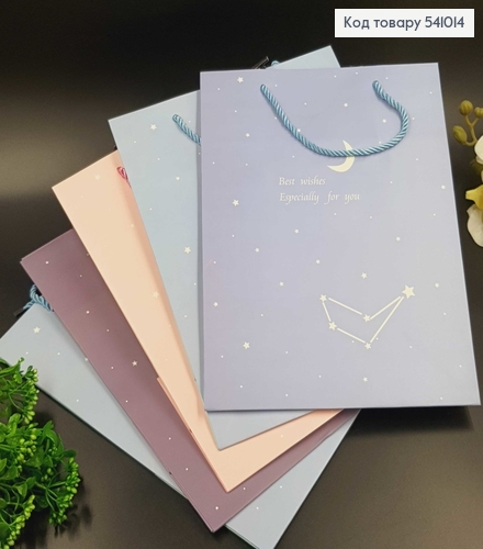 Пакет бумажный средний Знаки зодиака 32,5х25,5 см в асс. 541014 фото 1