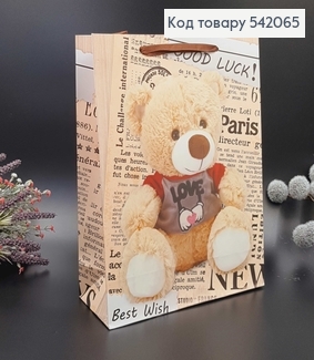 Пакет бумажный средний Мишки 26х32х10 см 542065 фото