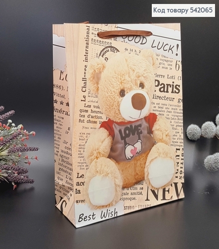 Пакет паперовий середній  Ведмедики 26х32х10см 542065 фото 1