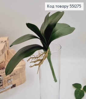 Латексные листочки ОРХИДЕИ (высота 27см), листочки длиной 16см, 13см, 9см 551275 фото