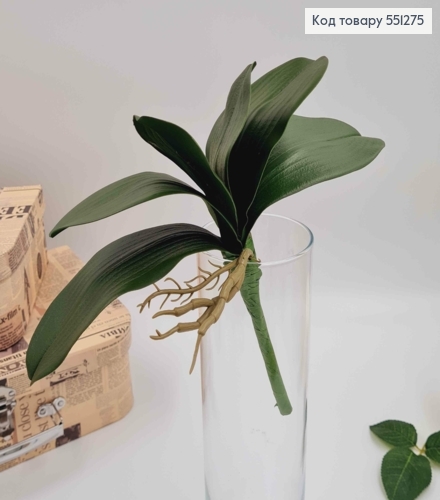 Латексные листочки ОРХИДЕИ (высота 27см), листочки длиной 16см, 13см, 9см 551275 фото 1