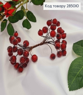 Пучок веточек калины "в сахаре" (20шт), БОРДРОВА, на дротике 13см 285010 фото