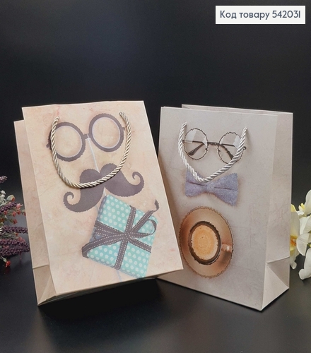 Пакет бумажный средний мужские аксессуары 24х19 см в асс. 542031 фото 1