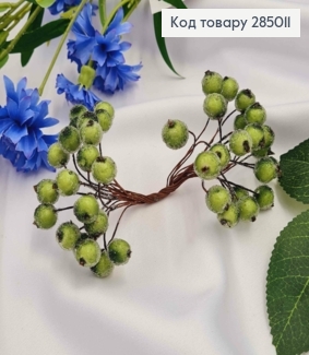 Пучок веточек калины "в сахаре" (20шт), ОЛИВКОВАЯ, на дротике 13см 285011 фото