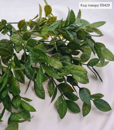 Штучна композиція Декоративна Зелень, ЗЕЛЕНОГО кольору, 7 гілочок, висота 35см 551429 фото 3