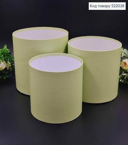 Набор Коробок 3шт, Без крышки, САЛАТОВАЯ 17,5*20,5см, 16*18,5см, 14*16,5см. 522028 фото 1