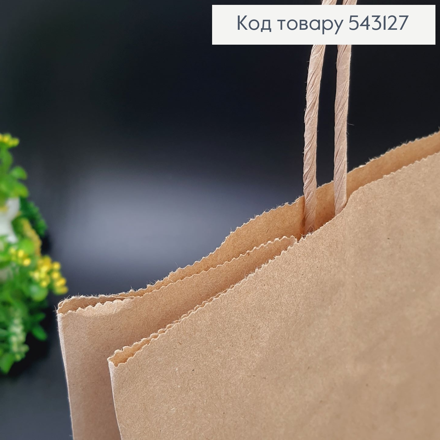 Пакет бумажный Крафт, 32,5х26х4см 543127 фото 2