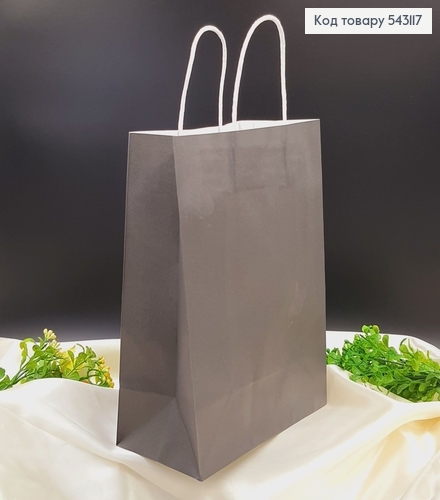 Пакет бумажный средний Крафт бумажная ручка черный 27х20,5 см 543117 фото 1