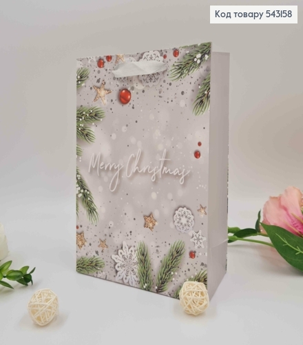 Пакет бумажный, "Merry Christmas" в ассорт. 18*24*8,5см 543158 фото 1
