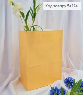 Пакет крафтовый 22*27*11см Коричневый 542241 фото