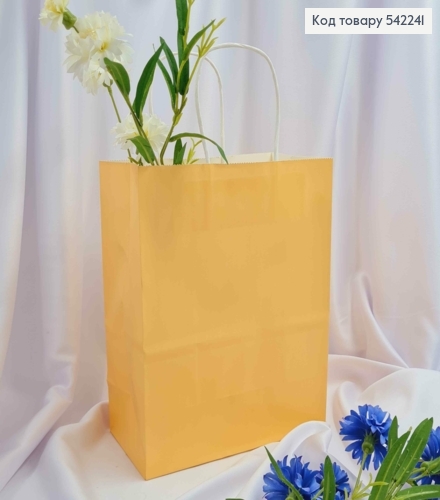 Пакет крафтовий 22*27*11см Коричневий 542241 фото 1