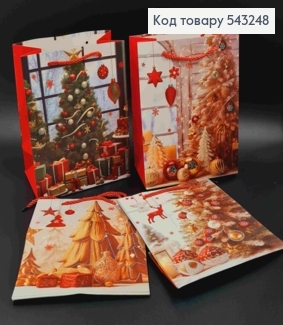 Пакет паперовий з принтом "Новорічні Ялинки", 23*18*10см, в асортименті 543248 фото