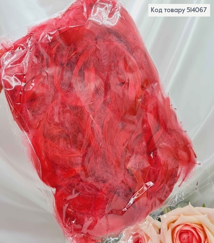 Наполнитель перьев Бордовый 10 гр 514067 фото 1