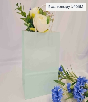 Пакет крафтовый, 13*21*8см, Мятный 543182 фото