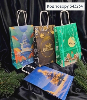 Пакет крафтовый Новогодний "Merry Christmas" в ассортименте, 22*16*8см 543234 фото