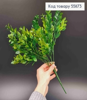 Искусственная веточка, Самшит вечнозеленый, 5 веточек на металлическом стержне 38см. 551173 фото