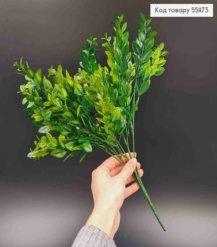 Искусственная веточка, Самшит вечнозеленый, 5 веточек на металлическом стержне 38см. 551173 фото 1