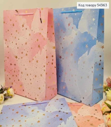 Пакет паперовий, "Сузір'я" в асорт. 31*42*12 см 543163 фото 1