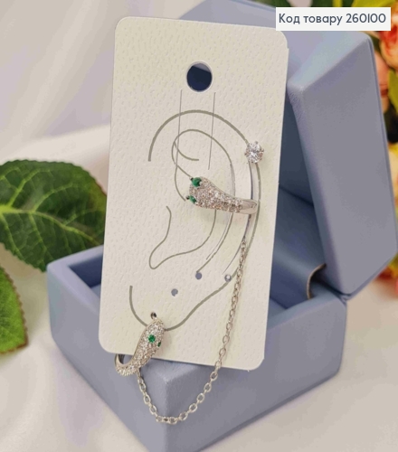 Набор сережек, Кафы(1шт)+Гвозди(2шт), ЗМЕЯ украшена камешками, Серебряного цвета, Сталь 260100 фото 3