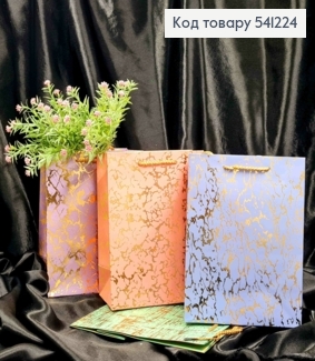 Пакет бумажный с Хаотическим золотым тиснением, 23*18*10см, в ассортименте 541224 фото