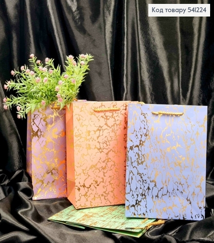 Пакет паперовий з Хаотичним золотим тисненням, 23*18*10см, в асортименті 541224 фото 1