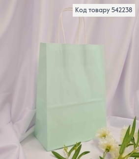 Пакет крафтовый 22*27*11см Мятный 542238 фото