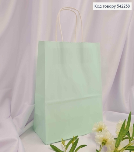 Пакет крафтовый 22*27*11см Мятный 542238 фото 1