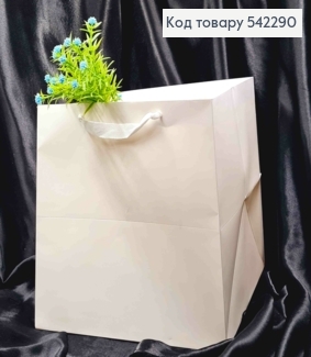 Пакет бумажный Однотонный "Куб", 30*30*30см, Цвета в ассортименте. 542290 фото