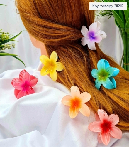 Краб пластик глянцевий "Гавайська Квітка", 6см, Яскраві кольори в асортименті 211216 фото 1