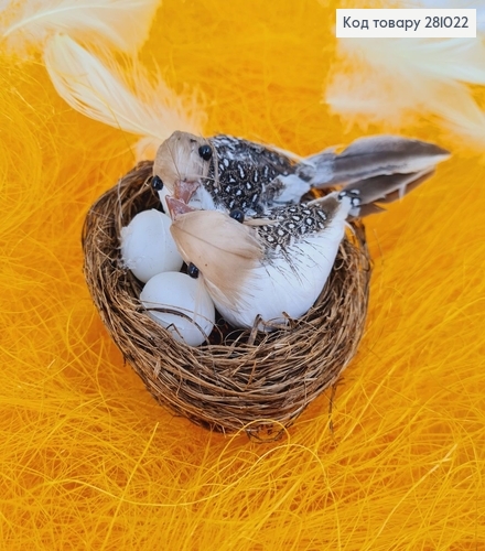 Декоративный набор гнезда с птичками и яйцами 8х9 см 281022 фото 1