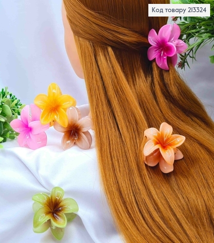 Краб пластик глянцевый "Гавайский Цветок", размером 6см, яркие цвета в ассортименте. 213324 фото 1