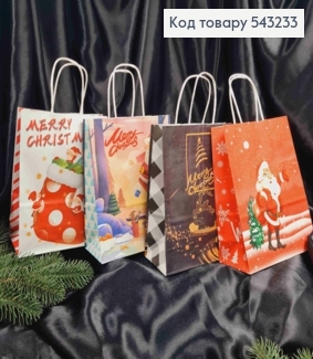 Пакет крафтовый Новогодний "Merry Christmas" в ассортименте, 22*16*8см 543233 фото