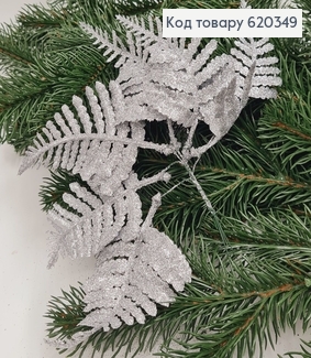 Папороть декоративна СРІБЛО блиск, пучок 6шт, 10+5см 620349 фото