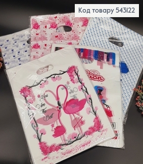 Пакет полиэтиленовый средний  35х25 см 100 шт в асс. 543122 фото